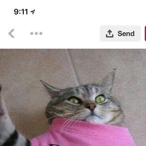 Meet your Posher, Kat